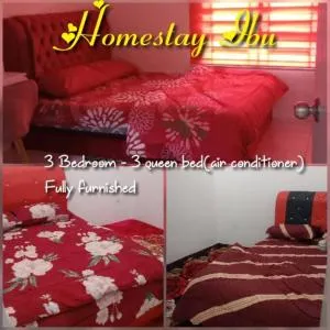 Homestay Ibu(Muslim sahaja) - Pusing