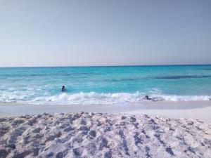 للإيجار في مطروح شاليه داخل قرية سياحية شاليه شايف البحر امتداد شاطئ الابيض البحر متاح لكن حمام السباحة هذا الصيف به أعمال صيانه 130