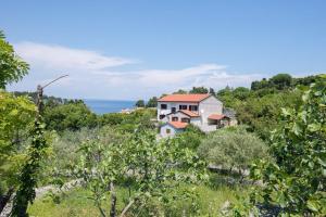 Apartments with WiFi Veli Losinj, Losinj - 19799