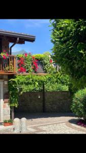 Splendido cottage Lakeview