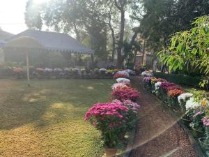 Nibhriti Guest House