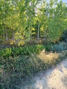 Casa Histórica Aldana, Plaza Vieja