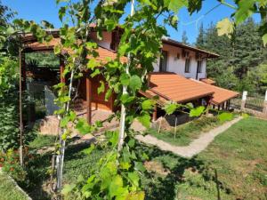 Райчевата къща - Кюстендил