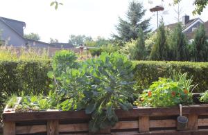 Ferienwohnung Fleur de Lys Urlaub auf Anfrage mit Hund