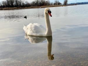 Ferienwohnung am Chiemsee