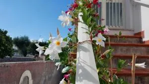 Casa Vacanza Anacapri Sunrise - Anacapri