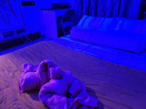 CMK TROIKA APARTMEN#Free Netflix