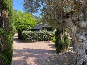 Appart'hotels Maranatha, front de mer avec plage : photos des chambres