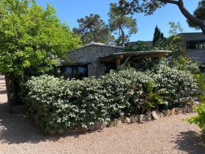 Appart'hotels Maranatha, front de mer avec plage : photos des chambres