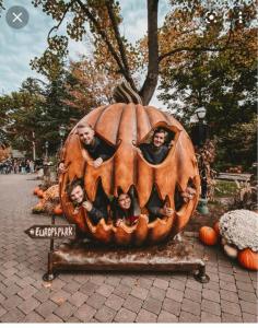 Appartements Location MH situee a 15 mn d europa park et rulantika : photos des chambres