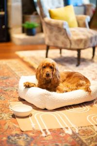 Hôtel & SPA Le Chêne Vert