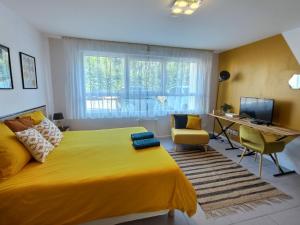 Appartements Studio LE JUNGLE - ROISSY CDG - Parc Asterix - PARIS : photos des chambres