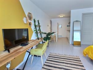 Studio LE JUNGLE - ROISSY CDG - Parc Astérix - PARIS