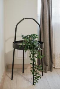 Rozenstein design apartment