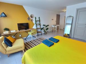 Studio LE JUNGLE - ROISSY CDG - Parc Astérix - PARIS