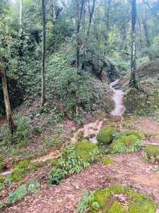 Cheerful 2 bed room flat with parking near forest.