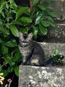 A la Maladière - Fenin