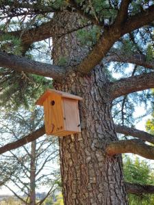 Appartements La Fruitiere : Studio avec Vue sur Jardin