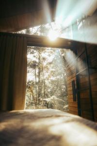 Pousada Alpes da Araucárias