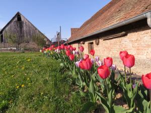B&B / Chambres d'hotes LES COLOMBAGES : photos des chambres