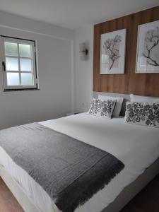 Hotel Rural Solar das Arcadas