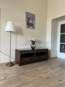 Old Town Square Apartments