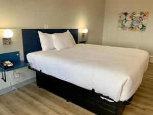 King Room - Non-Smoking room in Microtel Inn & Suites by Wyndham Stockbridge/Atlanta I-75