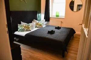 Moderne Ferienwohnung in direkter Nähe zur Uni, Netflix Gratis, WLAN, Waschmaschine, Geschirrspüler, Zentrum, - Neukirchen