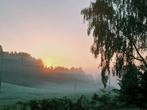 Siedlisko Dwa Żurawie - Uroczy domek nad stawem, z kominkiem, obok konie