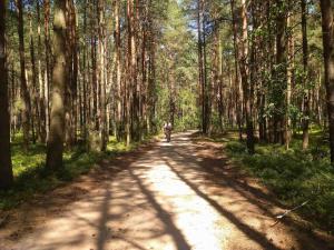 Agroturystyka Staw i koza