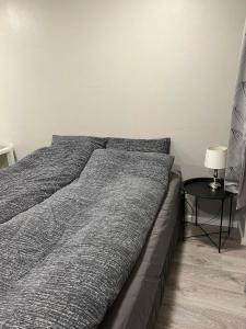 Helenas studio, Reykjavík 104