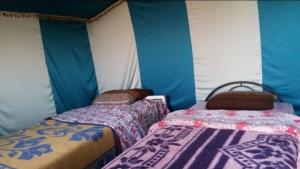 Chegaga desert Trips camp