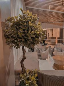 City View at The Persimmon Studios