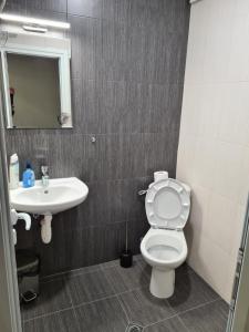 Студиа Студенец