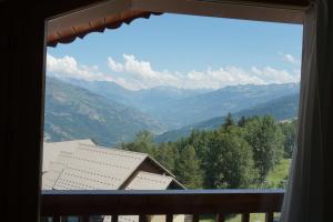 Appartements Chalet de Montalbert 32C 5-7 pers : photos des chambres