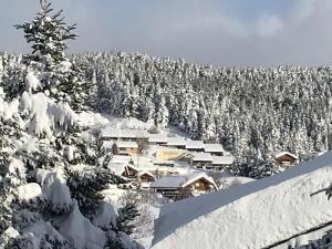 Chalets Les Coeurs de Bolquere. : photos des chambres