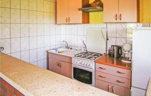 Awesome Home In Brodnica Grna With Kitchen