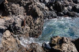 Breath-taking views on the first line of the ocean