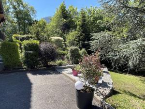 B&B / Chambres d'hotes Le chalet des Pesettes : photos des chambres