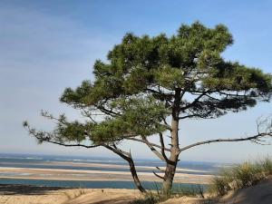 Maison d’hôte neuve : T2 pour 4 voyageurs