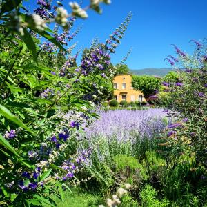 Maisons d'hotes Le Pavillon de Galon : photos des chambres