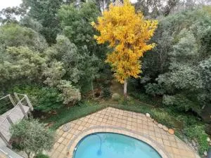 Pecan Tree Studio 2 with Forest View - Dalsig