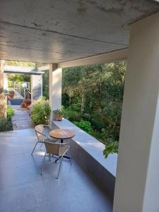 Pecan Tree Studio 2 with Forest View