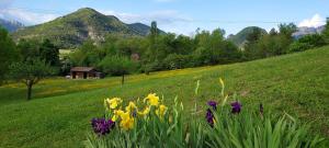 T2 indépendant dans maison Tout confort