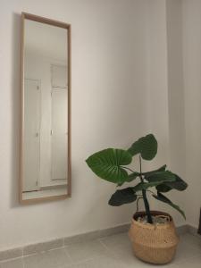 Apartamento rural Casa Calo