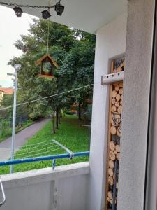 Cieplice Orle