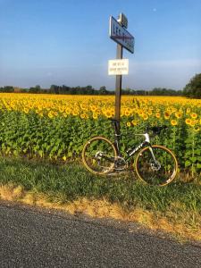 Maisons de vacances Gites de Cognac : photos des chambres