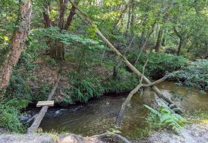 Maisons de vacances Sejour paisible en famille proche de la nature - logement avec terrasse et aire de jeu : photos des chambres