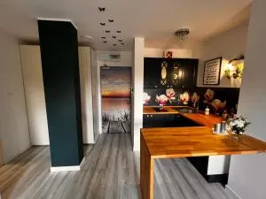 Przyjemny apartament nad zalewem - Jadwisin