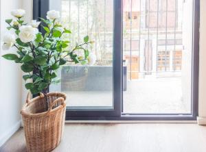 Muuuy Mexicano A 2 cuadras del Zócalo